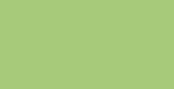 WINSOR & NEWTON PENNARELLO BRUSHMARKER APPLE G338