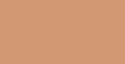 WINSOR & NEWTON PENNARELLO BRUSHMARKER CINNAMON O427