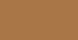 WINSOR & NEWTON PENNARELLO BRUSHMARKER COCOA O535