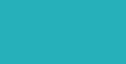 WINSOR & NEWTON PENNARELLO BRUSHMARKER TURQUOISE C247
