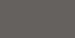 WINSOR & NEWTON PROMARKER COOL GREY 5 CG5