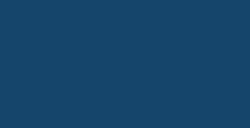 LEFRANC BOURGEOIS COLOR & CO AQUALAC INCHIOSTRI PER LINOLEOGRAFIA NIGHT BLUE N. 046