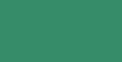 LEFRANC BOURGEOIS COLOR & CO AQUALAC INCHIOSTRI PER LINOLEOGRAFIA EMERALD GREEN N. 529