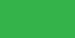 LEFRANC BOURGEOIS COLOR & CO AQUALAC INCHIOSTRI PER LINOLEOGRAFIA BRILLIANT GREEN N. 558