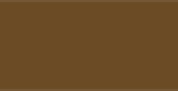 LEFRANC BOURGEOIS FLASHE COLORI ACRILICI RAW UMBER SERIE 1 N. 478