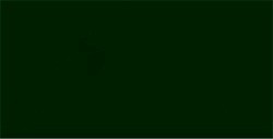 MONTANA 94 VERNICE SPRAY SINTETICA AMAZON GREEN N. 6009