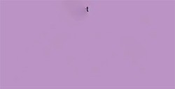 MONTANA 94 VERNICE SPRAY SINTETICA COMMUNITY VIOLET N. 171
