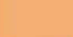 MONTANA COLORS HARDCORE VERNICE SPRAY PUMPKIN N. 208