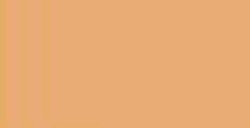 MONTANA COLORS HARDCORE VERNICE SPRAY TEPUY BROWN N. 247