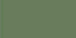 MONTANA COLORS HARDCORE VERNICE SPRAY KHAKI GREEN N. 6013