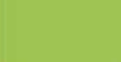 MONTANA COLORS HARDCORE VERNICE SPRAY PISTACHIO GREEN N. 16