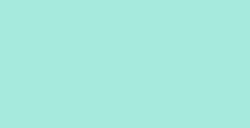 MONTANA COLORS WATER BASED VERNICE SPRAY A BASE D'ACQUA MAX GREEN N. 254