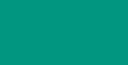 MONTANA COLORS WATER BASED VERNICE SPRAY A BASE D'ACQUA SURGICAL GREEN N. 21