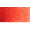 WHITE NIGHTS ACQUERELLO GODET INTERO - ENGLISH RED SERIE A N. 321