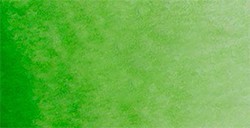 WHITE NIGHTS AQUARELLFARBE NÄPFCHEN SAP GREEN SERIE A NR. 716