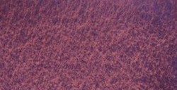 WHITE NIGHTS ACQUERELLO GODET INTERO COLORI GRANULATI - SUNSET MIST SERIE A N. 635
