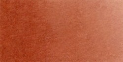 WHITE NIGHTS ACQUERELLO GODET INTERO TONALITÀ PASTELLO - MAROON SERIE A N. 432