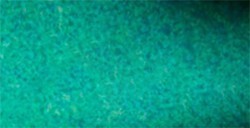 WHITE NIGHTS ACQUERELLO TUBETTO COLORI GRANULATI - GREEN MIST SERIE A N. 762
