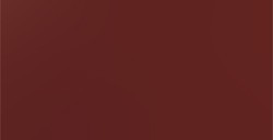 TITAN ARTS GOYA ESTUDIO COLORI ACRILICI OXIDE BROWN N. 75