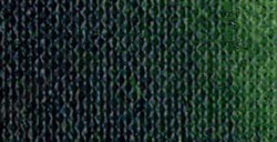 TITAN ARTS GOYA COLORI AD OLIO SAP GREEN N. 69