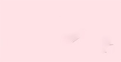 TOMBOW DUAL BRUSH PEN PENNARELLO CON PUNTA A PENNELLO E PUNTA FINA BABY PINK N. 800