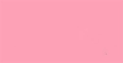 TOMBOW DUAL BRUSH PEN PENNARELLO CON PUNTA A PENNELLO E PUNTA FINA BLUSH N. 772