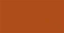 TOMBOW DUAL BRUSH PEN PENNARELLO CON PUNTA A PENNELLO E PUNTA FINA BURNT SIENNA N. 947