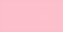 TOMBOW DUAL BRUSH PEN PENNARELLO CON PUNTA A PENNELLO E PUNTA FINA CARNATION N. 761