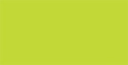 TOMBOW DUAL BRUSH PEN PENNARELLO CON PUNTA A PENNELLO E PUNTA FINA CHARTREUSE N. 133