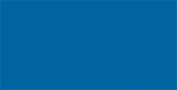 TOMBOW DUAL BRUSH PEN PENNARELLO CON PUNTA A PENNELLO E PUNTA FINA COBALT BLUE N. 535