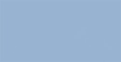 TOMBOW DUAL BRUSH PEN PENNARELLO CON PUNTA A PENNELLO E PUNTA FINA COOL GREY 6 N. N60