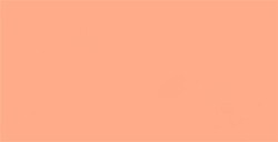 TOMBOW DUAL BRUSH PEN PENNARELLO CON PUNTA A PENNELLO E PUNTA FINA CORAL N. 873