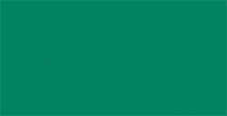 TOMBOW DUAL BRUSH PEN PENNARELLO CON PUNTA A PENNELLO E PUNTA FINA DARK GREEN N. 277