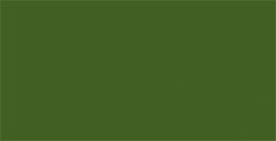 TOMBOW DUAL BRUSH PEN PENNARELLO CON PUNTA A PENNELLO E PUNTA FINA DARK JADE N. 177