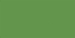 TOMBOW DUAL BRUSH PEN PENNARELLO CON PUNTA A PENNELLO E PUNTA FINA DARK OLIVE N. 158