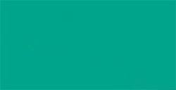 TOMBOW DUAL BRUSH PEN PENNARELLO CON PUNTA A PENNELLO E PUNTA FINA GREEN N. 296