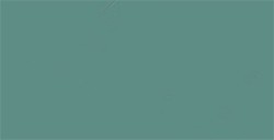 TOMBOW DUAL BRUSH PEN PENNARELLO CON PUNTA A PENNELLO E PUNTA FINA HOLLY GREEN N. 312