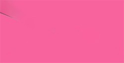TOMBOW DUAL BRUSH PEN PENNARELLO CON PUNTA A PENNELLO E PUNTA FINA HOT PINK N. 743