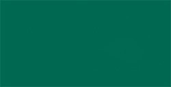 TOMBOW DUAL BRUSH PEN PENNARELLO CON PUNTA A PENNELLO E PUNTA FINA HUNTER GREEN N. 249