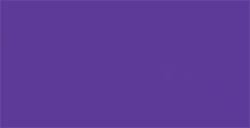 TOMBOW DUAL BRUSH PEN PENNARELLO CON PUNTA A PENNELLO E PUNTA FINA IMPERIAL PURPLE N. 636