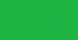 TOMBOW DUAL BRUSH PEN PENNARELLO CON PUNTA A PENNELLO E PUNTA FINA LIGHT GREEN N. 195