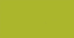 TOMBOW DUAL BRUSH PEN PENNARELLO CON PUNTA A PENNELLO E PUNTA FINA LIGHT OLIVE N. 126