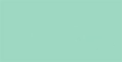 TOMBOW DUAL BRUSH PEN PENNARELLO CON PUNTA A PENNELLO E PUNTA FINA MINT N. 243
