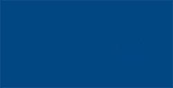 TOMBOW DUAL BRUSH PEN PENNARELLO CON PUNTA A PENNELLO E PUNTA FINA NAVY BLUE N. 528