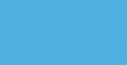 TOMBOW DUAL BRUSH PEN PENNARELLO CON PUNTA A PENNELLO E PUNTA FINA PEACOCK BLUE N. 533