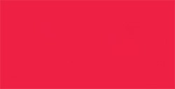 TOMBOW DUAL BRUSH PEN PENNARELLO CON PUNTA A PENNELLO E PUNTA FINA PERSIMMON N. 835