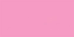 TOMBOW DUAL BRUSH PEN PENNARELLO CON PUNTA A PENNELLO E PUNTA FINA PINK N. 723