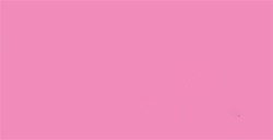 TOMBOW DUAL BRUSH PEN PENNARELLO CON PUNTA A PENNELLO E PUNTA FINA PINK ROSE N. 703