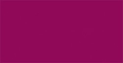 TOMBOW DUAL BRUSH PEN PENNARELLO CON PUNTA A PENNELLO E PUNTA FINA PORT RED N. 757