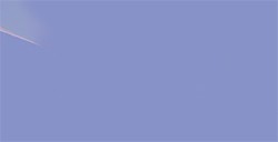 TOMBOW DUAL BRUSH PEN PENNARELLO CON PUNTA A PENNELLO E PUNTA FINA PURPLE SAGE N. 623
